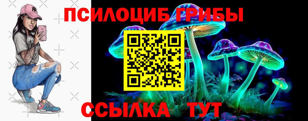 где продают   Псилоцибиновые грибы прущие грибы  Вход с VPN  Партизанск  Псилоцибиновые грибы мицелий 